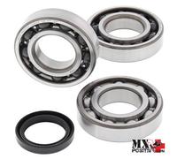 KIT CUSCINETTI ALBERO MOTORE POLARIS SPORTSMAN 450 2006 ALL BALLS 24-1090