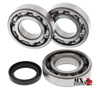 KIT CUSCINETTI ALBERO MOTORE POLARIS WORKER 500 4X4 2001-2002 ALL BALLS 24-1089