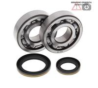 Kit cuscinetti albero motore Suzuki 250cc RM250 1998 24-1021 ALL BALLS