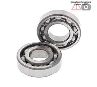 Kit cuscinetti albero motore Suzuki 350cc DR350SE 1993 24-1059 ALL BALLS