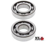 KIT CUSCINETTI ALBERO MOTORE SUZUKI DR 125SE 1997-2002 ALL BALLS 24-1036