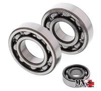 KIT CUSCINETTI ALBERO MOTORE SUZUKI LT-F500F 1998-2002 ALL BALLS 24-1080