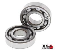 KIT CUSCINETTI ALBERO MOTORE SUZUKI LT-R450 2006-2011 ALL BALLS 24-1116