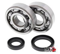 KIT CUSCINETTI ALBERO MOTORE SUZUKI RM 125 1997 ALL BALLS 24-1016