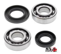 KIT CUSCINETTI ALBERO MOTORE SUZUKI RM 60 1979-1983 ALL BALLS 24-1068