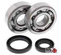KIT CUSCINETTI ALBERO MOTORE SUZUKI RM 85 2002 ALL BALLS 24-1014
