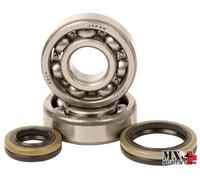 KIT CUSCINETTI ALBERO MOTORE SUZUKI RM 85 2015-2024 HOT RODS K233