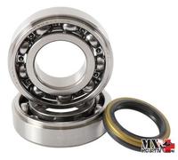 KIT CUSCINETTI ALBERO MOTORE SUZUKI RM-Z 250 2007-2009 HOT RODS K055