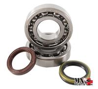 KIT CUSCINETTI ALBERO MOTORE SUZUKI RM-Z 250 2010-2024 HOT RODS K074