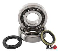 KIT CUSCINETTI ALBERO MOTORE SUZUKI RM-Z 450 2008-2024 HOT RODS K058