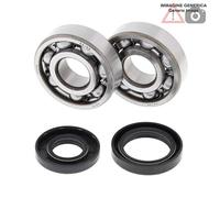 Kit cuscinetti albero motore Yamaha 125cc YZ125 2002 24-1025 ALL BALLS