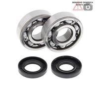 Kit cuscinetti albero motore Yamaha 125cc YZ125 2008 - 2011 24-1062 ALL BALLS