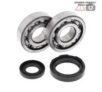 Kit cuscinetti albero motore Yamaha 250cc WR250 1995 - 1996 24-1027 ALL BALLS