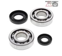 Kit cuscinetti albero motore Yamaha 250cc YZ250 2005 24-1029 ALL BALLS
