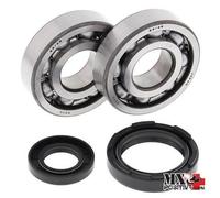 KIT CUSCINETTI ALBERO MOTORE YAMAHA WR 250 1994 ALL BALLS 24-1027