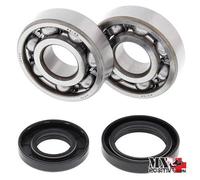 KIT CUSCINETTI ALBERO MOTORE YAMAHA YZ 125 2001 ALL BALLS 24-1025