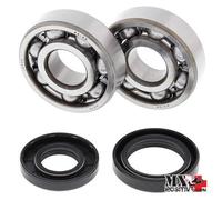 KIT CUSCINETTI ALBERO MOTORE YAMAHA YZ 125 2003 ALL BALLS 24-1025