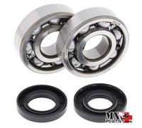 KIT CUSCINETTI ALBERO MOTORE YAMAHA YZ 125 2007 ALL BALLS 24-1062