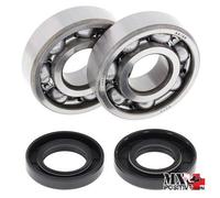 KIT CUSCINETTI ALBERO MOTORE YAMAHA YZ 125 2012-2017 ALL BALLS 24-1062