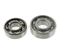 Kit cuscinetti banco decespugliatore motosega compatibile STIHL 9503-003-0341