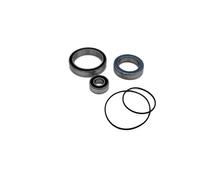 Kit Cuscinetti bici per motore yamaha pw-xe Black Bearing Argenté