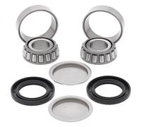 Kit cuscinetti braccio oscillante ALL BALLS 28-1055
