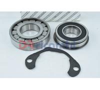 KIT CUSCINETTI CAMBIO ALBERO SECONDARIO PER FIAT DUCATO 250 6 V. Fiat 9402372858