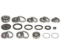 Kit cuscinetti, cambio manuale LUK 462 0408 10