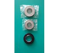 Kit cuscinetti Candy 6205ZZ SKF 6204ZZ SKF paraacqua 30X52X11/12,5