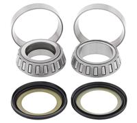 Kit Cuscinetti Colonna Direzione ALL BALLS-22-1074 Per Moto Ricambi