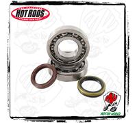 KIT CUSCINETTI DI BANCO E PARAOLI Suzuki RM 250 Z 2014