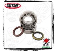 KIT CUSCINETTI DI BANCO E PARAOLI Suzuki RM 250 Z 2021