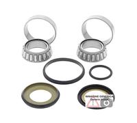 Kit cuscinetti di sterzo Beta 500cc RR-S 4T 500 2017 - 2018 22-1026 ALL BALLS