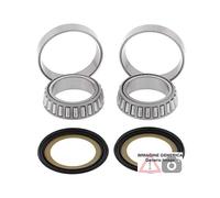 Kit cuscinetti di sterzo Ducati 1200cc Multistrada 1200 10-14 22-1039 ALL BALLS