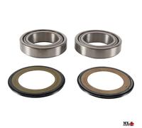 KIT CUSCINETTI DI STERZO DUCATI HYPERMOTARD 1100 2008-2009 PIVOT WORKS PWSSK-...