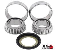 KIT CUSCINETTI DI STERZO GAS GAS EC 250 2013 ALL BALLS 22-1056