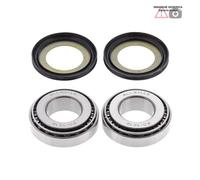 Kit cuscinetti di sterzo Harley 96cc FLSTSB Softail Cross Bones 08-10 22-1032