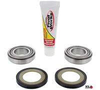 KIT CUSCINETTI DI STERZO HARLEY DAVIDSON FLSTSB SOFTAIL CROSS BONES 2011 PIVO...