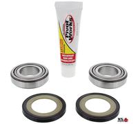 KIT CUSCINETTI DI STERZO HARLEY DAVIDSON VRSCSE2 2006 PIVOT WORKS PWSSK-HD01-000