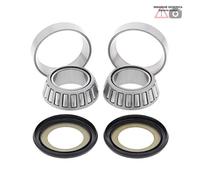 Kit cuscinetti di sterzo Honda 250cc CR250R 1985 22-1021 ALL BALLS
