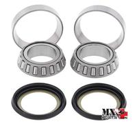 KIT CUSCINETTI DI STERZO HONDA CRF 100F 2004-2013 ALL BALLS 22-1002