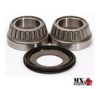 KIT CUSCINETTI DI STERZO SHERCO 2,5 ENDURO I 2008 BEARING WORX XSBK20001