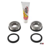 KIT CUSCINETTI DI STERZO TM MX 125 1996-1997 PIVOT WORKS PWSSK-K08-000