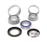 Kit cuscinetti di sterzo Victory 106cc Cross Country 8 Ball 15-16 22-1060