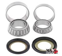 KIT CUSCINETTI DI STERZO YAMAHA TTR 125 DRUM BRAKE 2000-2005 ALL BALLS 22-1033