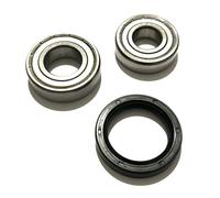 KIT CUSCINETTI E ANELLO DI TENUTA WHIRLPOOL IGNIS VASCA SALDATA 6204 ZZ 6205 ZZ