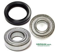 KIT CUSCINETTI E ANELLO TENUTA TIPO WHIRLPOOL IGNIS VASCA SALDATA 6204ZZ 6205ZZ