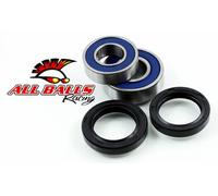 Kit Cuscinetti E Guarnizioni All Balls 25-1678