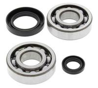 Kit Cuscinetti E Guarnizioni Di Albero Motore ALL BALLS 24-1004 per Moto