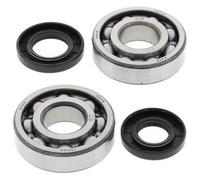 Kit Cuscinetti E Guarnizioni Di Albero Motore All Balls 24-1010 Per Moto Ricambi